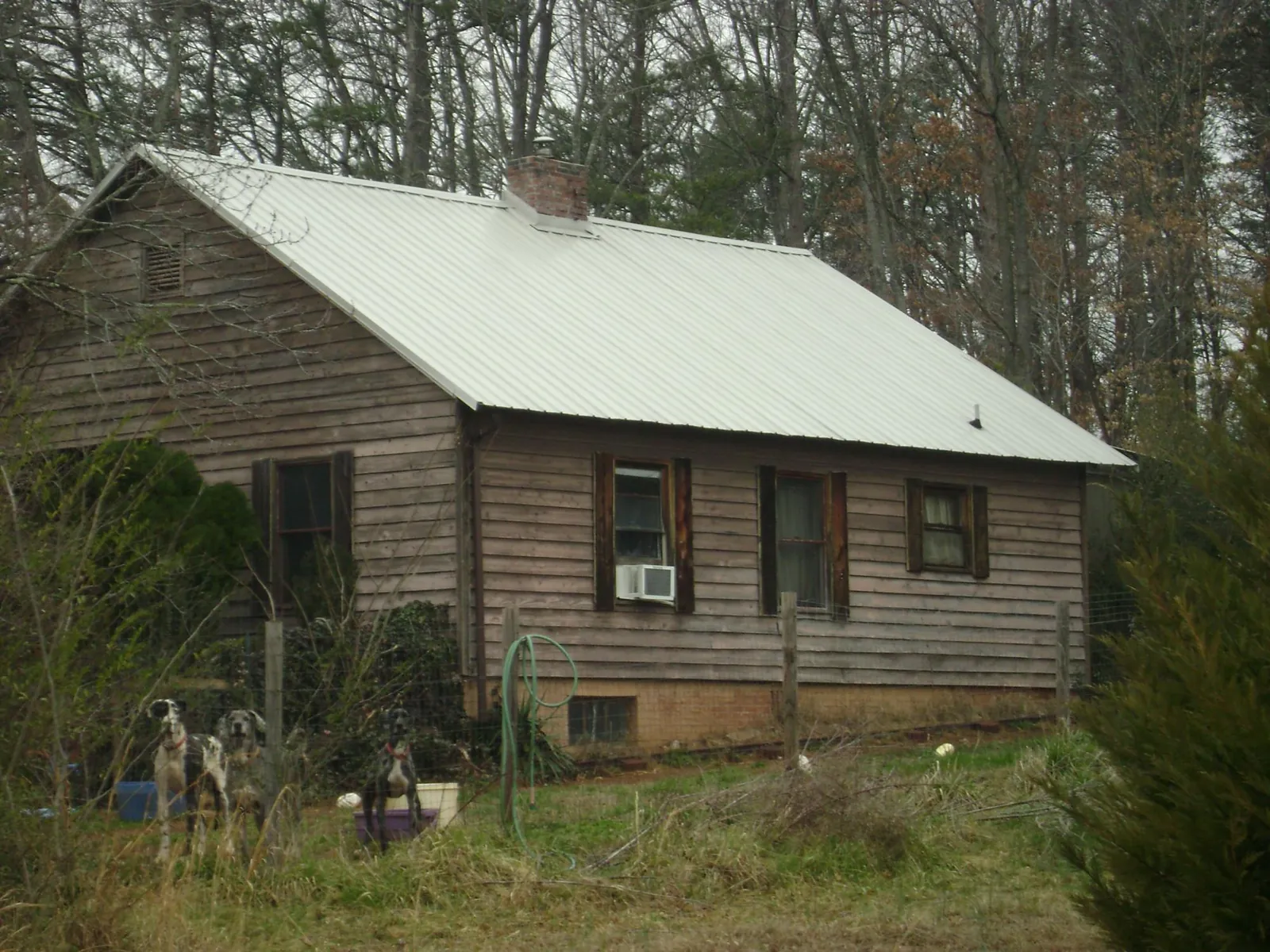 White metal roof on an old wood sided farmhouse, from a Asphalt Shingle Roof Repair job in Yates City